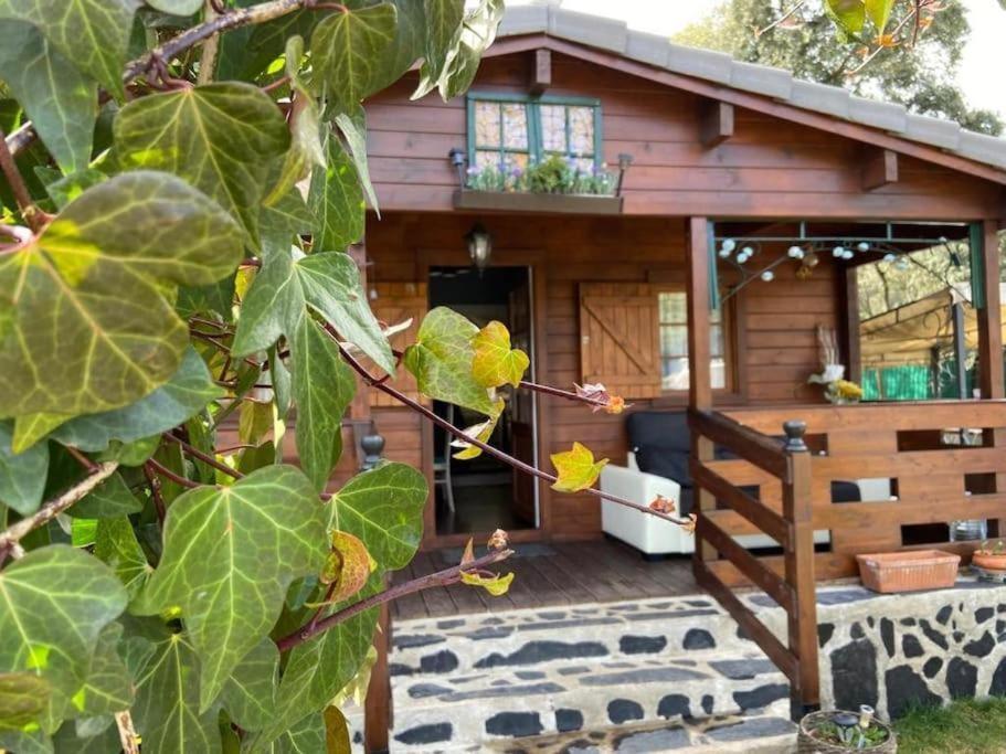 Encantadora cabaña de madera Albalate De Zorita Exterior foto