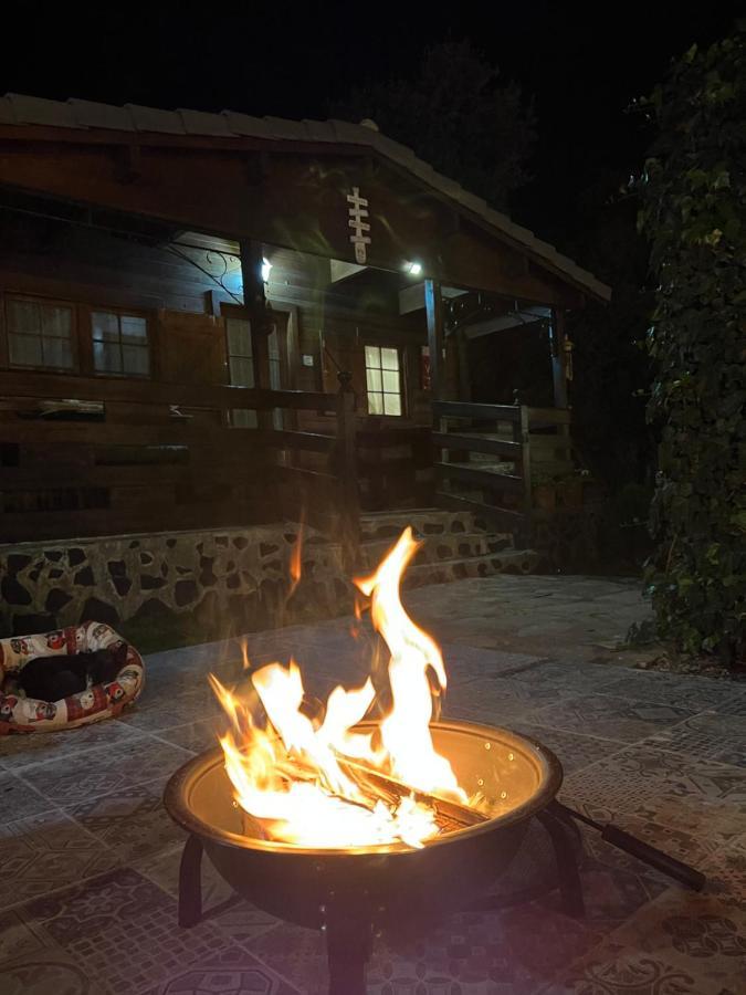 Encantadora cabaña de madera Albalate De Zorita Exterior foto